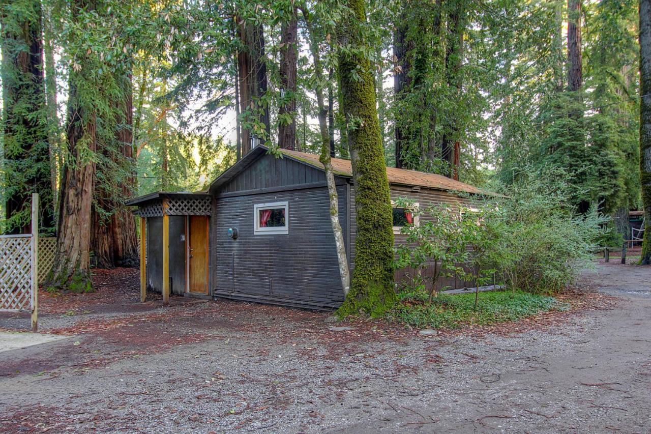 Redwoods River Resort & Campground Leggett Exterior photo